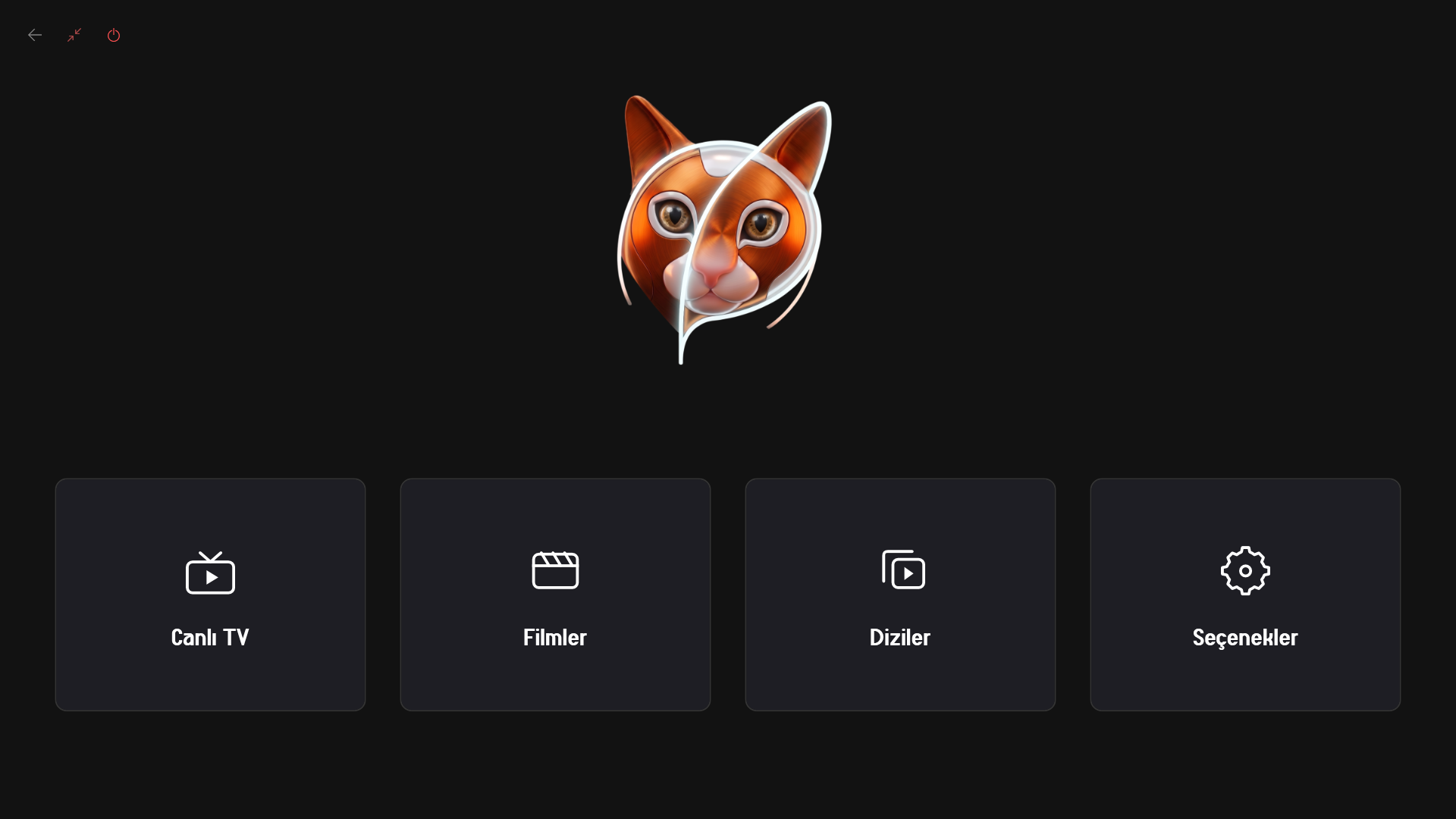 Püsü IPTV Windows Uygulama İçi Canlı Görünüm